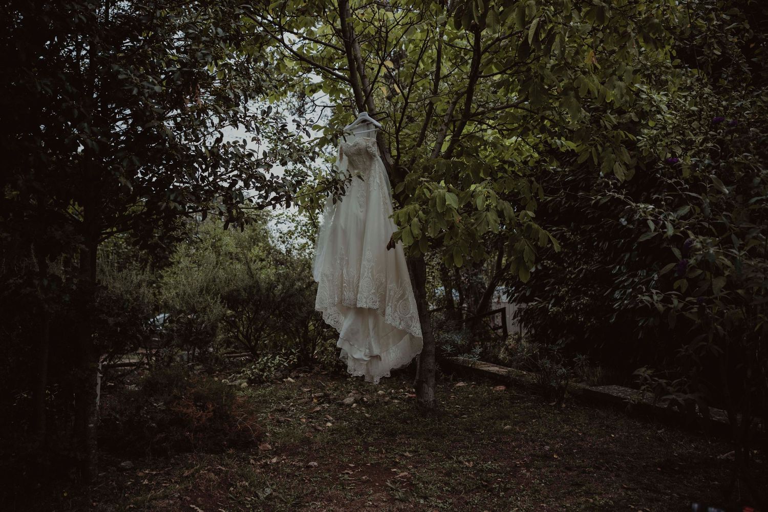 An elegant white wedding gown suspended from a tree branch in a moody garden setting.