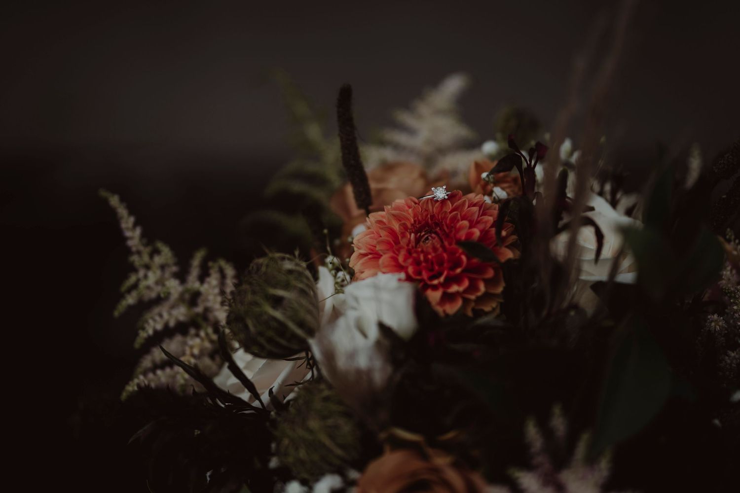 Dramatic close-up of red flowers and ferns in dark moody wedding arrangement.