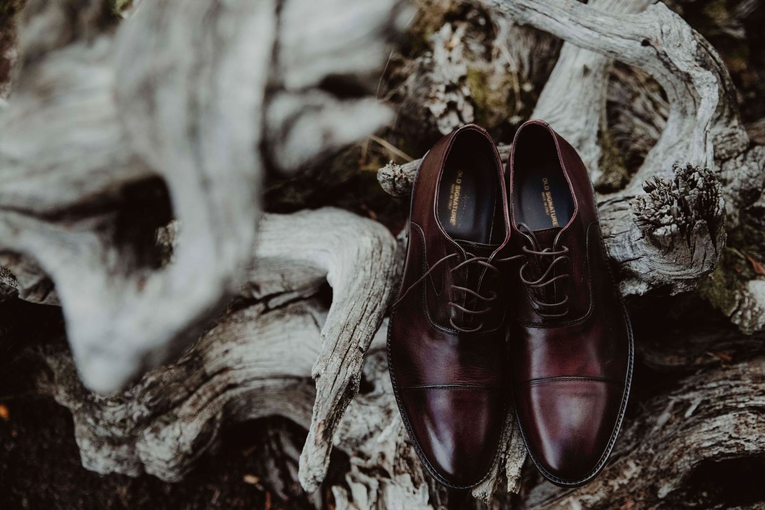 Polished brown leather dress shoes placed on weathered driftwood in dramatic lighting.