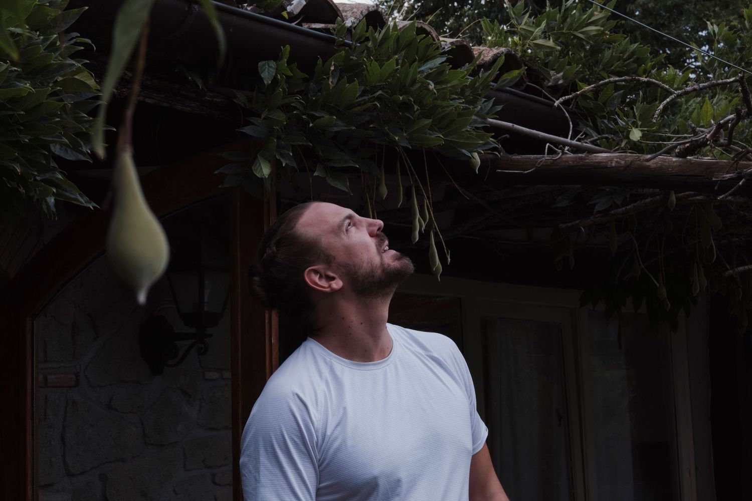 Person in white t-shirt looking upward surrounded by greenery and vines.