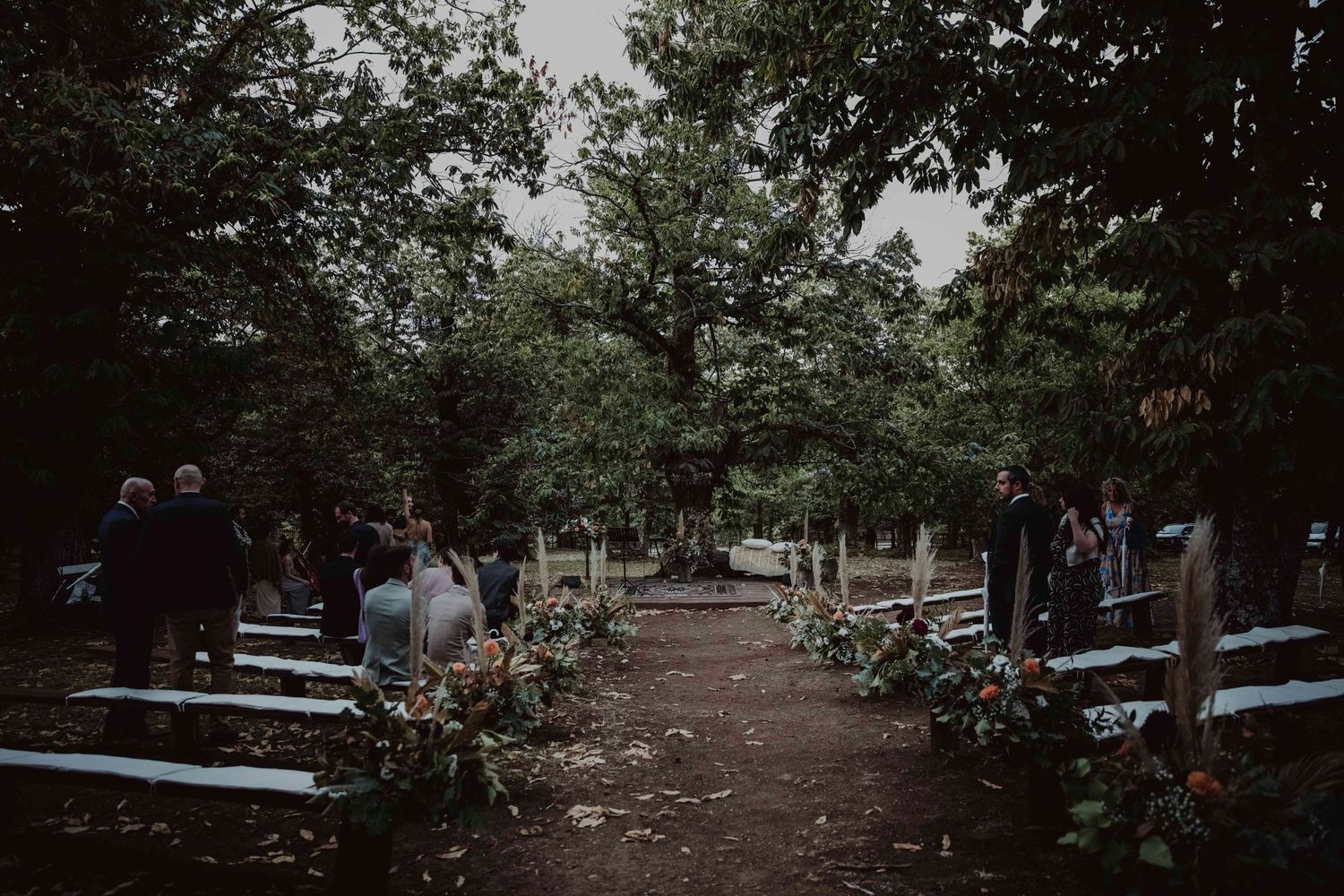 Rustic outdoor wedding aisle lined with wooden benches and floral arrangements.