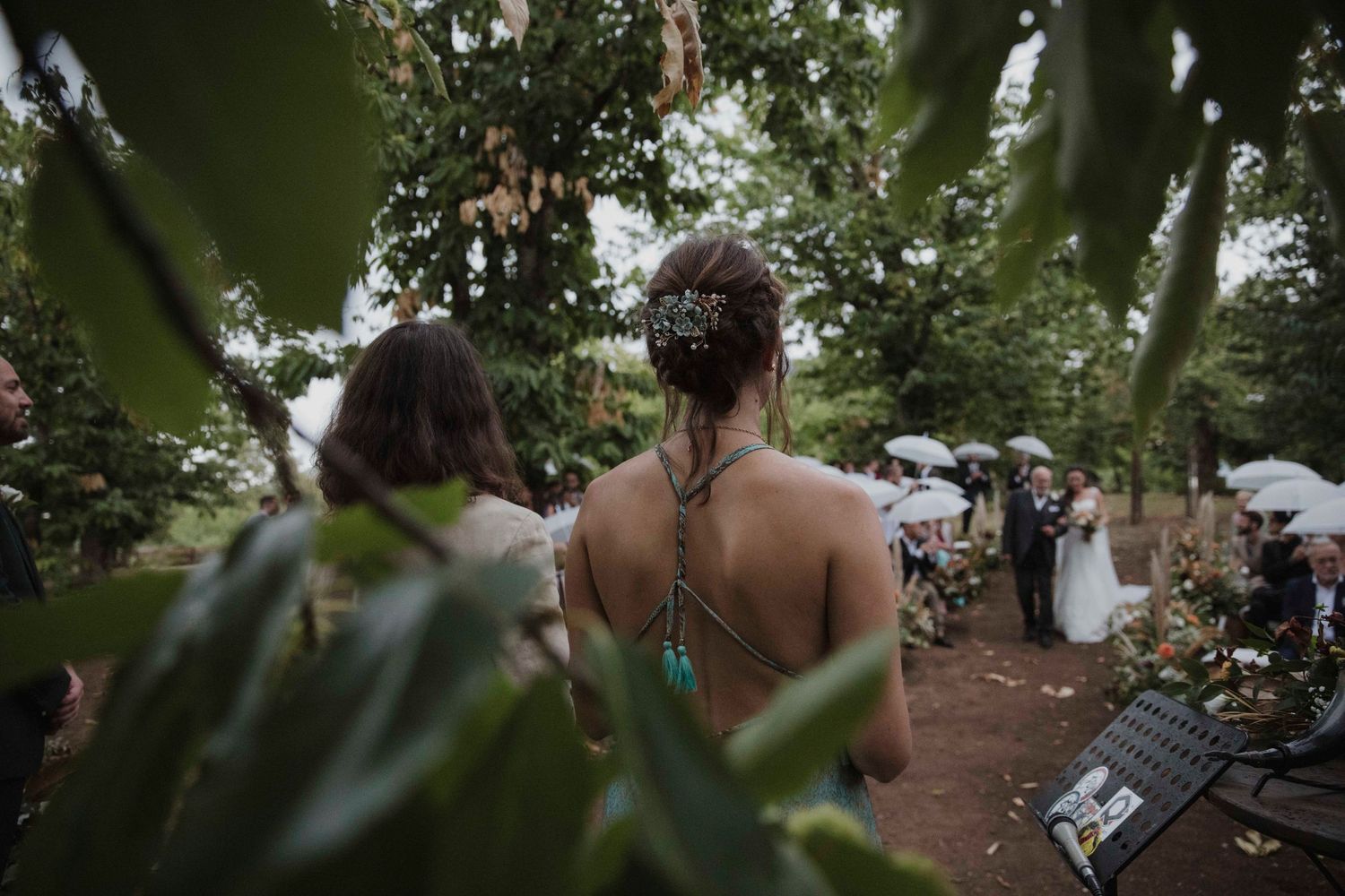 Wedding ceremony guests watch from behind foliage during outdoor celebration.