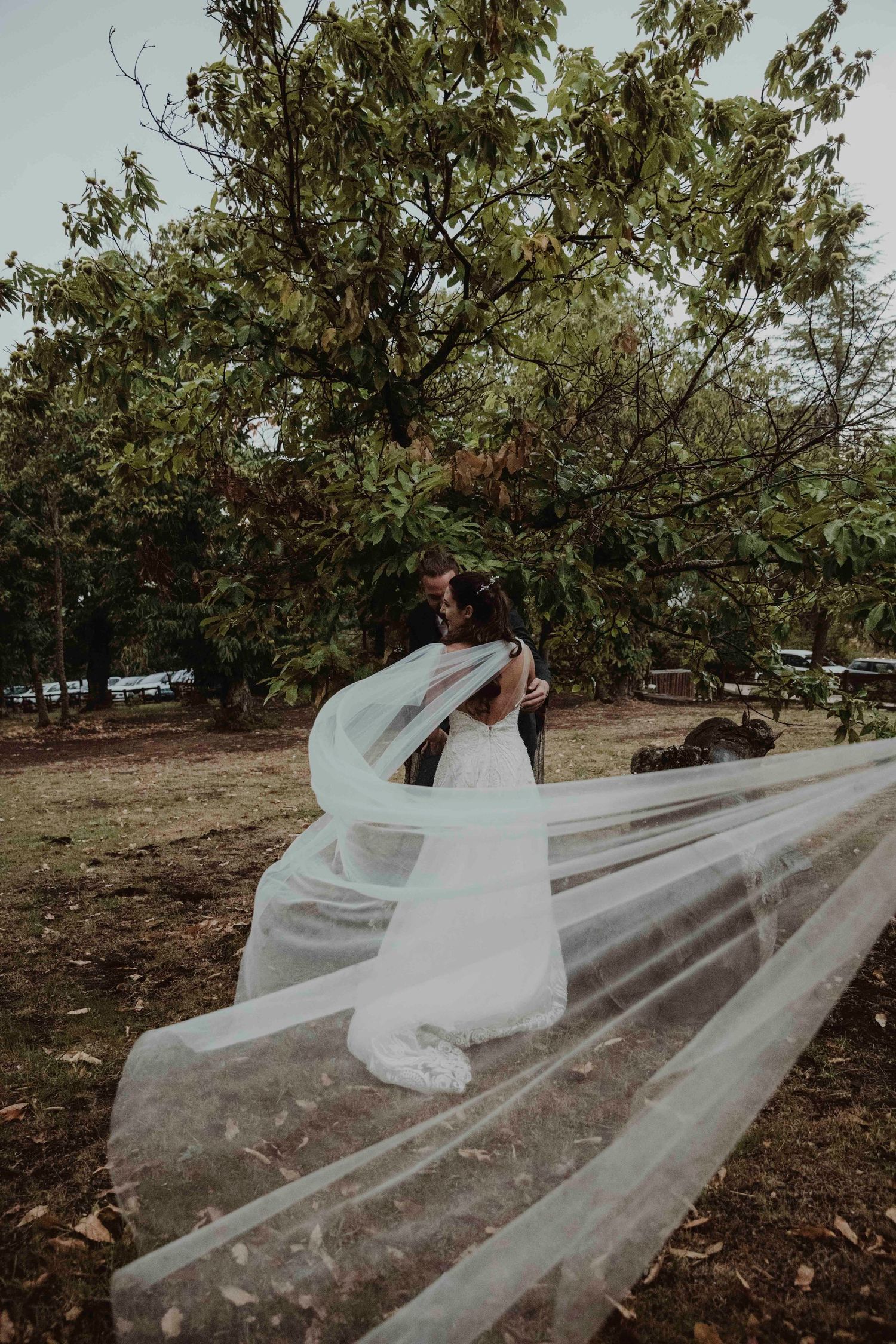 Flowing white veil catches wind during outdoor wedding photoshoot under large tree.