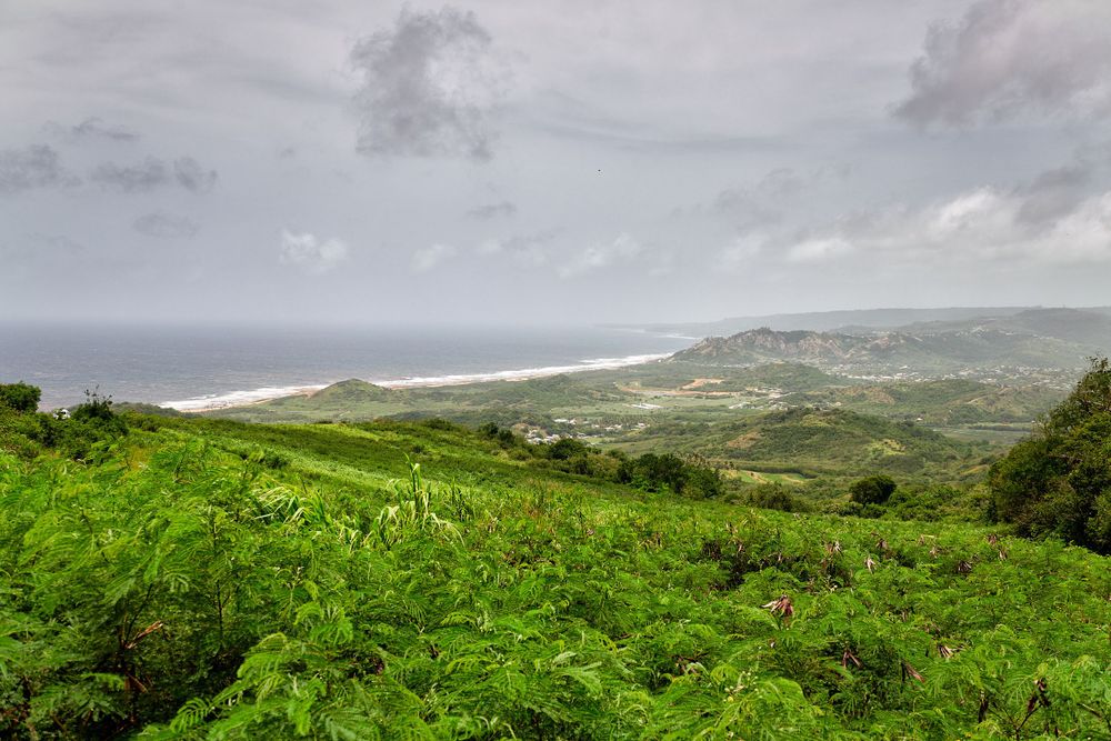 Lush green hillside overlooking a misty coastline with dramatic cloudy skies in the distance.