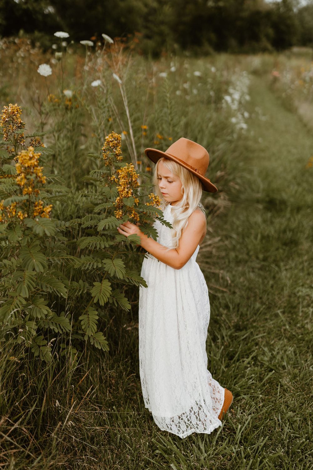 wildflower photography