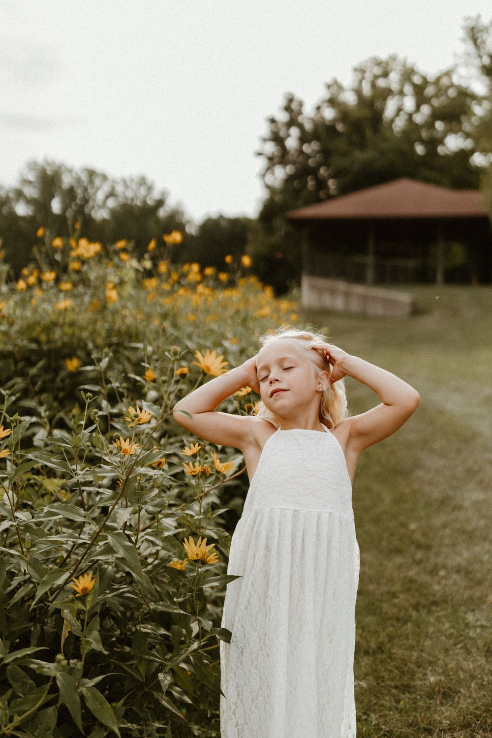 wildflower field near me