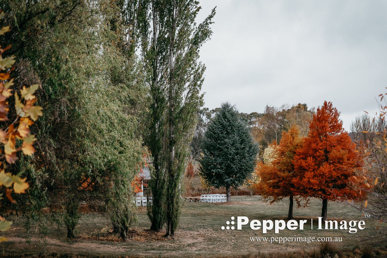 A scenic autumn landscape featuring trees with colorful red, orange, and green foliage on a cloudy day.