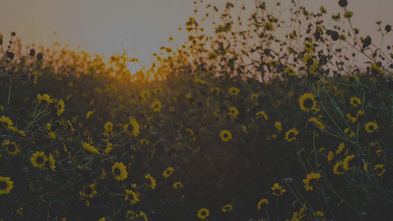 Return creative community. self care. choose your own adventure. remember who you are. reconnect with what you love.