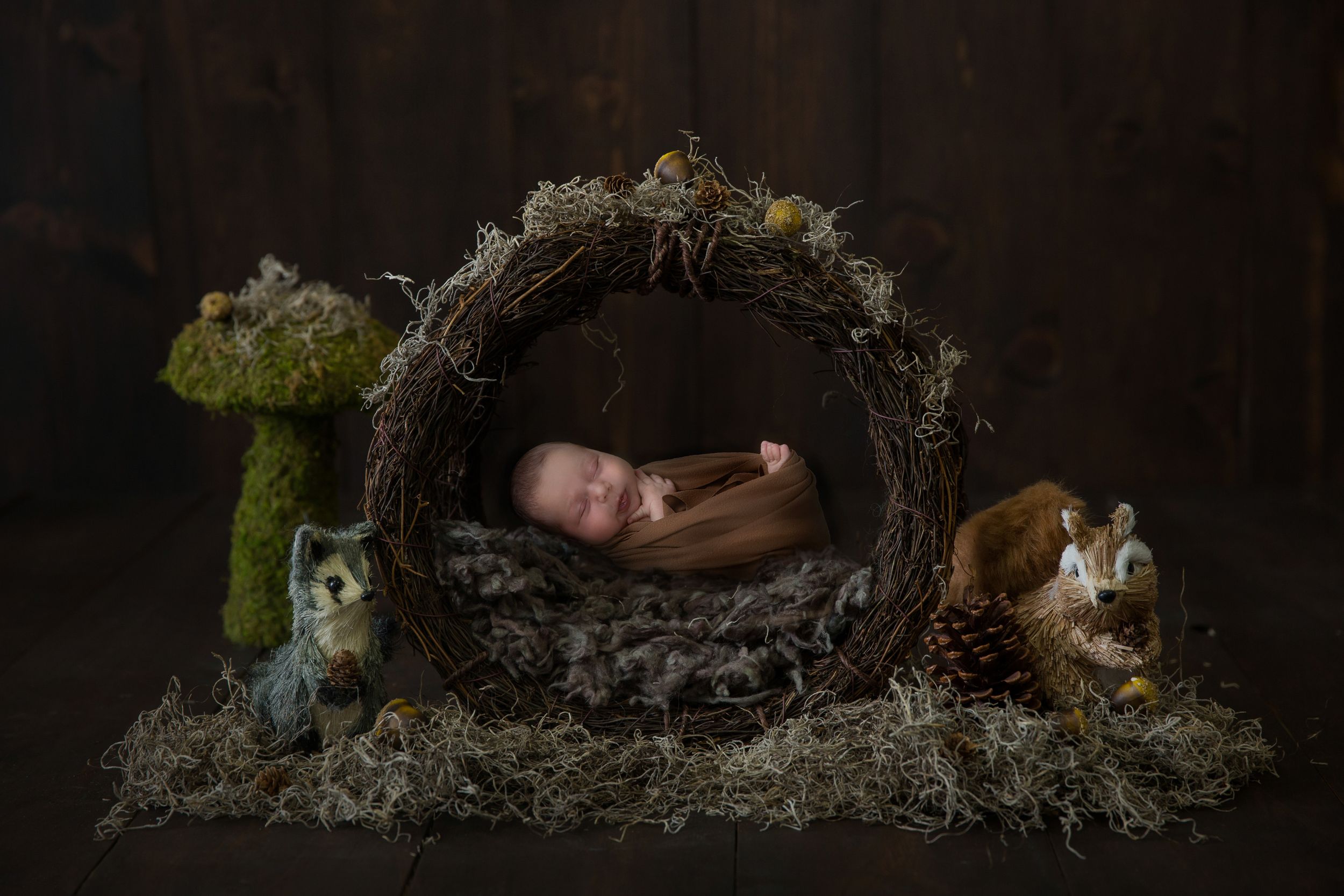 Neugeborenenfotografie Hildesheim, Babyfotografin Hannover