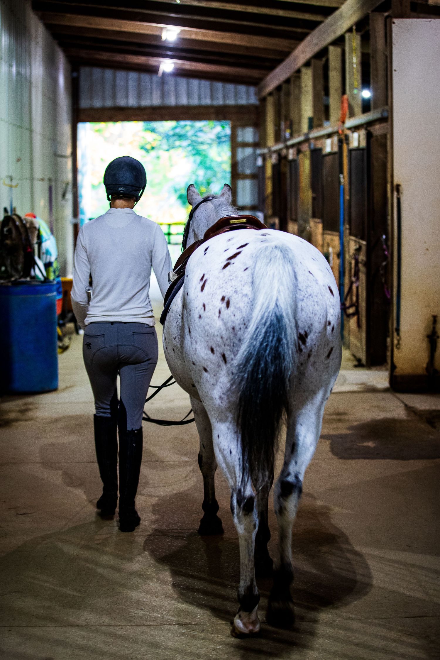 Woman leading a horse back into the stables