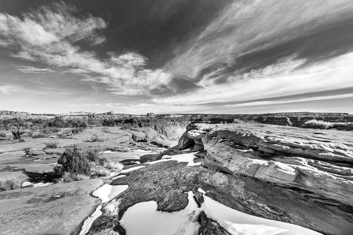Image of black and white landscape at Canyonlands National Park, Utah