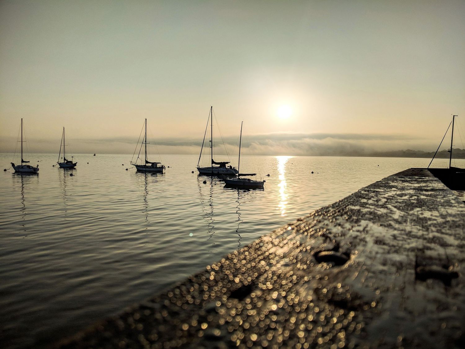 Image of boats and a railing at Monterey Bay in Monterey, California