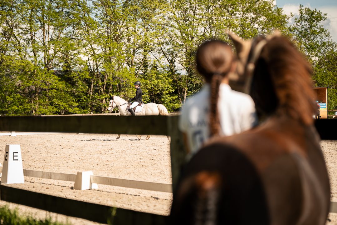 Concours dressage Alsace suivi photo