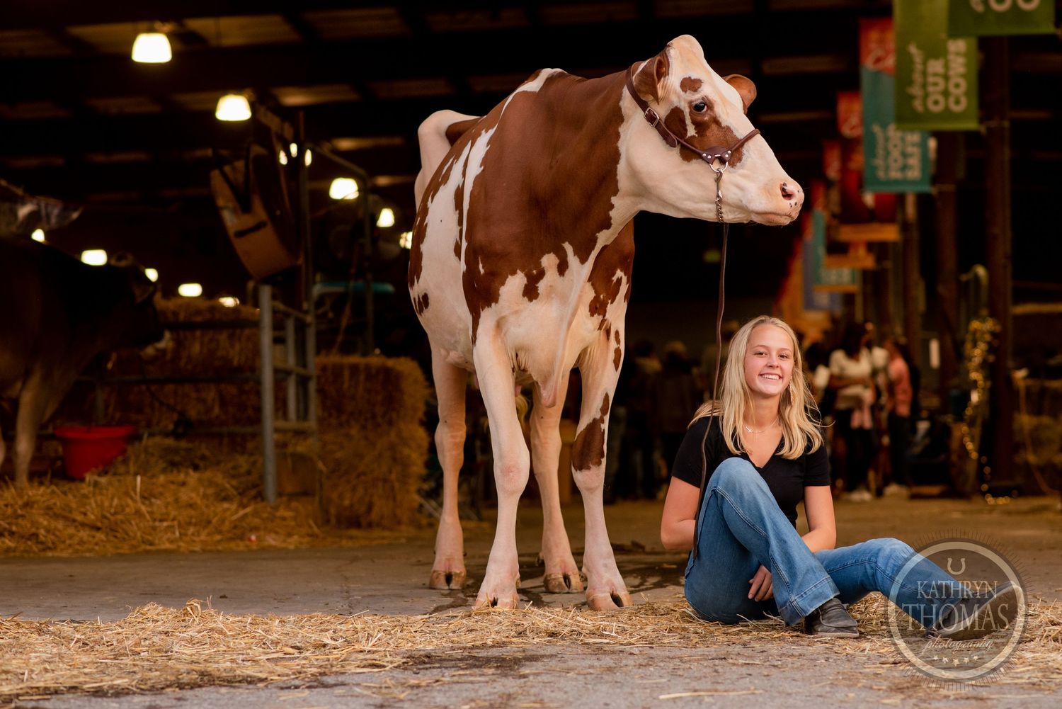 A large dairy cow poses in a barn setting with straw-covered floor and overhead lighting.