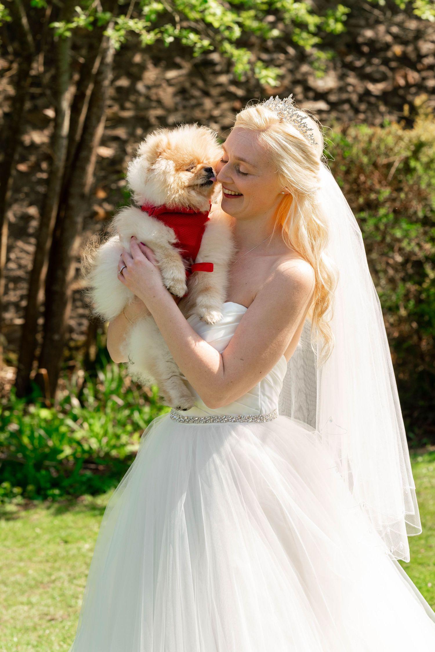 Zara Davis Photography Dogs at Weddings Cotswolds Gloucestershire Cheltenham Devon