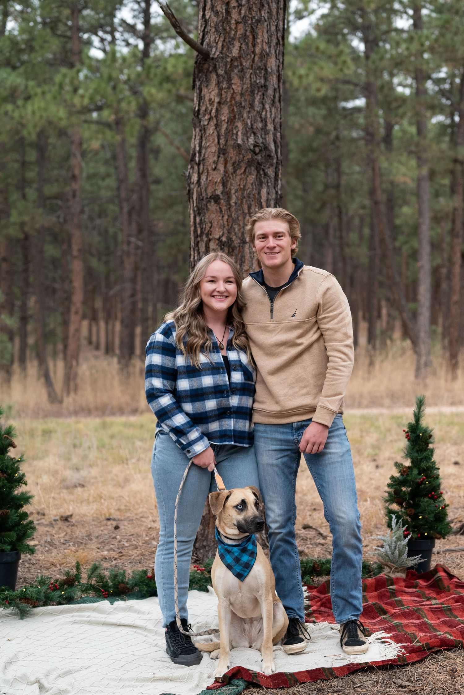 Holiday Mini Sessions in Colorado Springs
