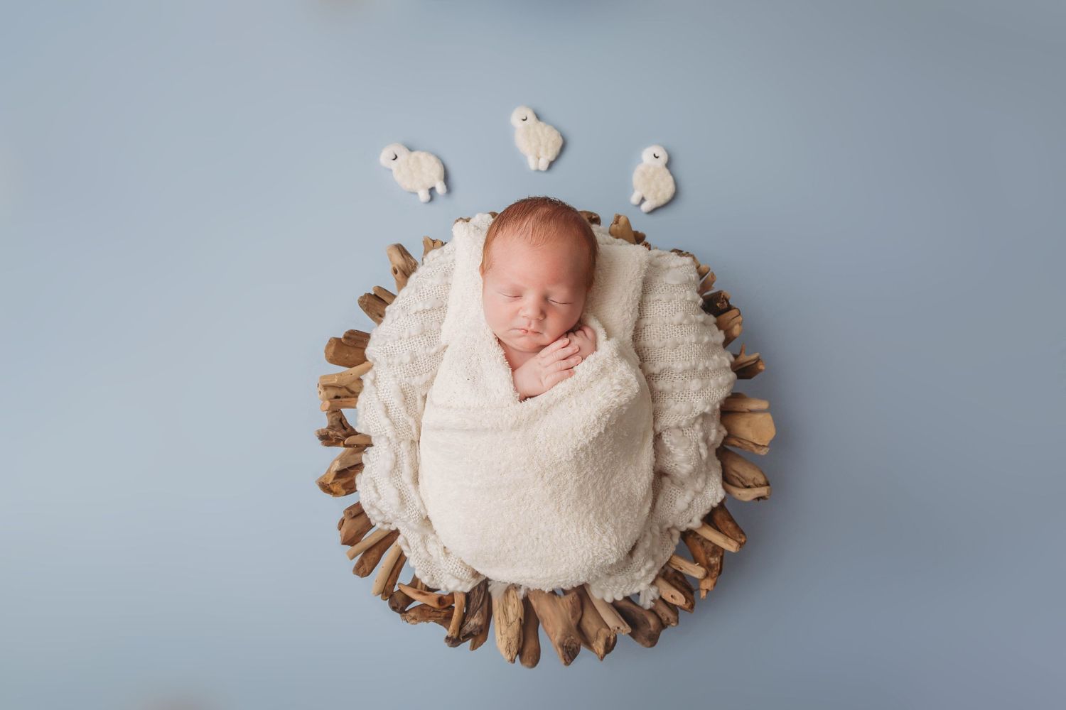 Tampa Newborn Photographer- Newborn Baby with Sheep jumping over his head
