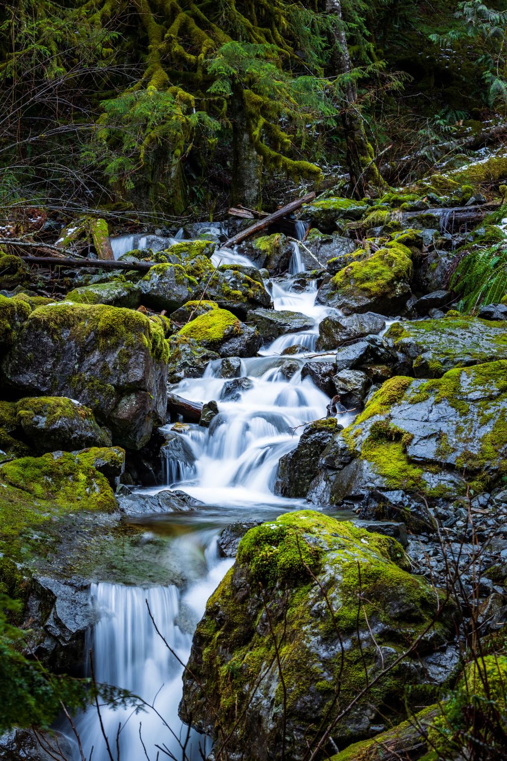 Cascading waterfall flows through moss-covered rocks in a lush green forest.