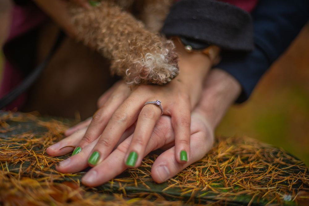 Enagaged couple hands and dogs paw in a pile, with engagement ring visible