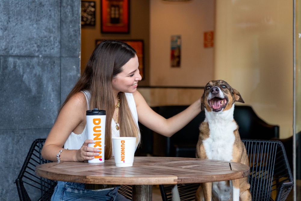 Fotografía canina