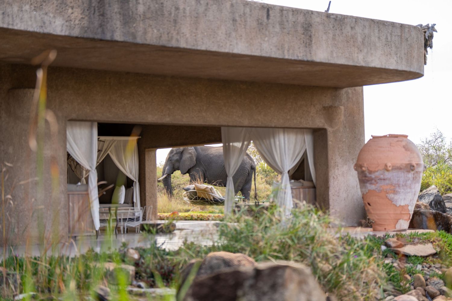 Outdoor terrace of a safari lodge with white curtains and a decorative clay pot.