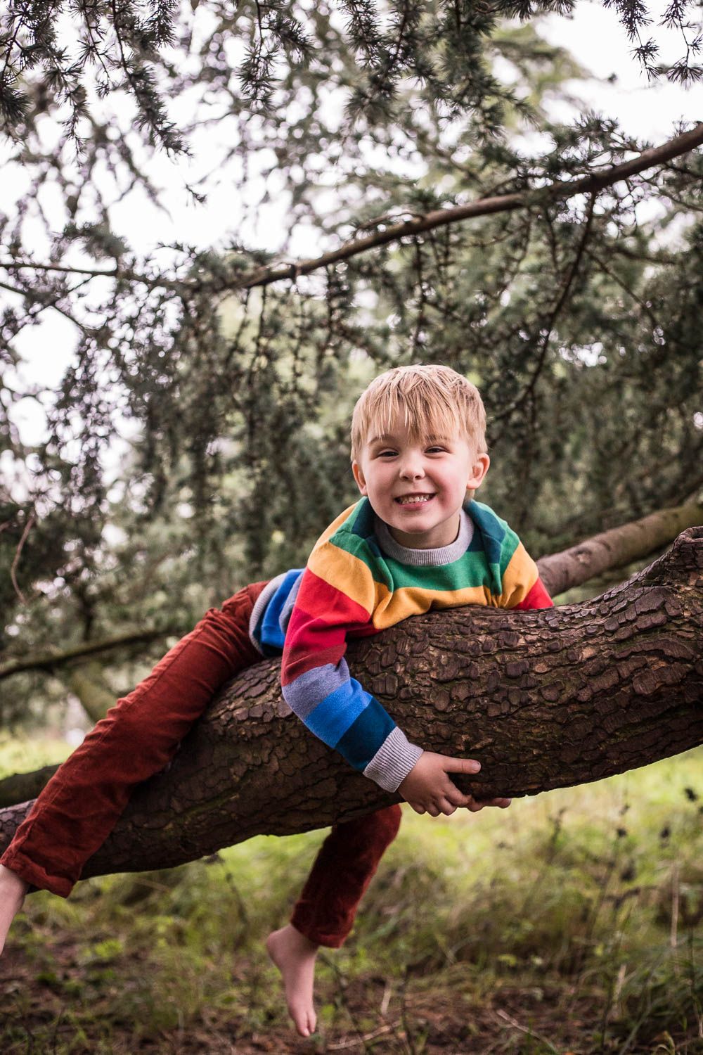 Young boy wearing a rainbow striped jumper hugging and lying on a tree branch wearing no shoes