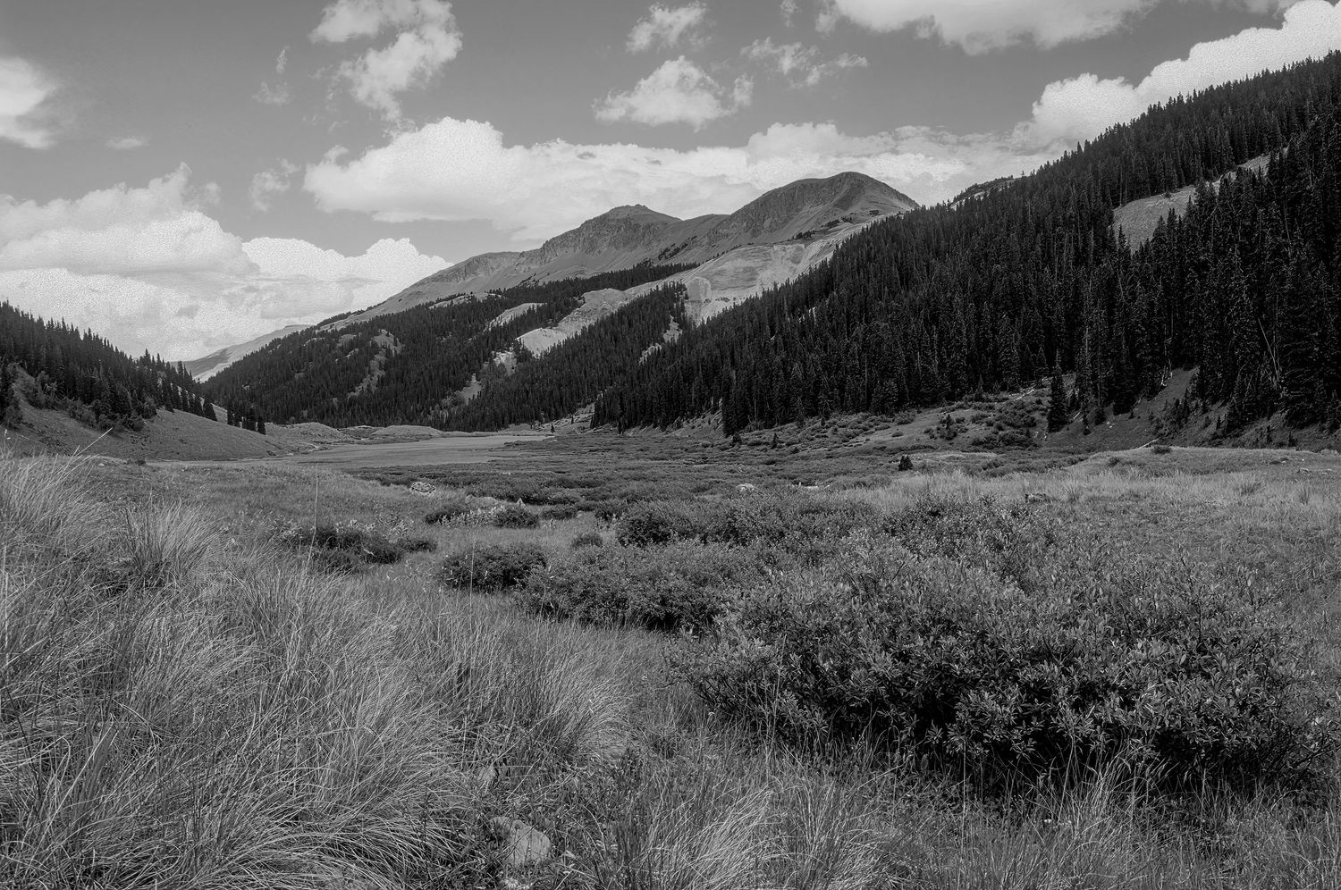Beartown, Colorado