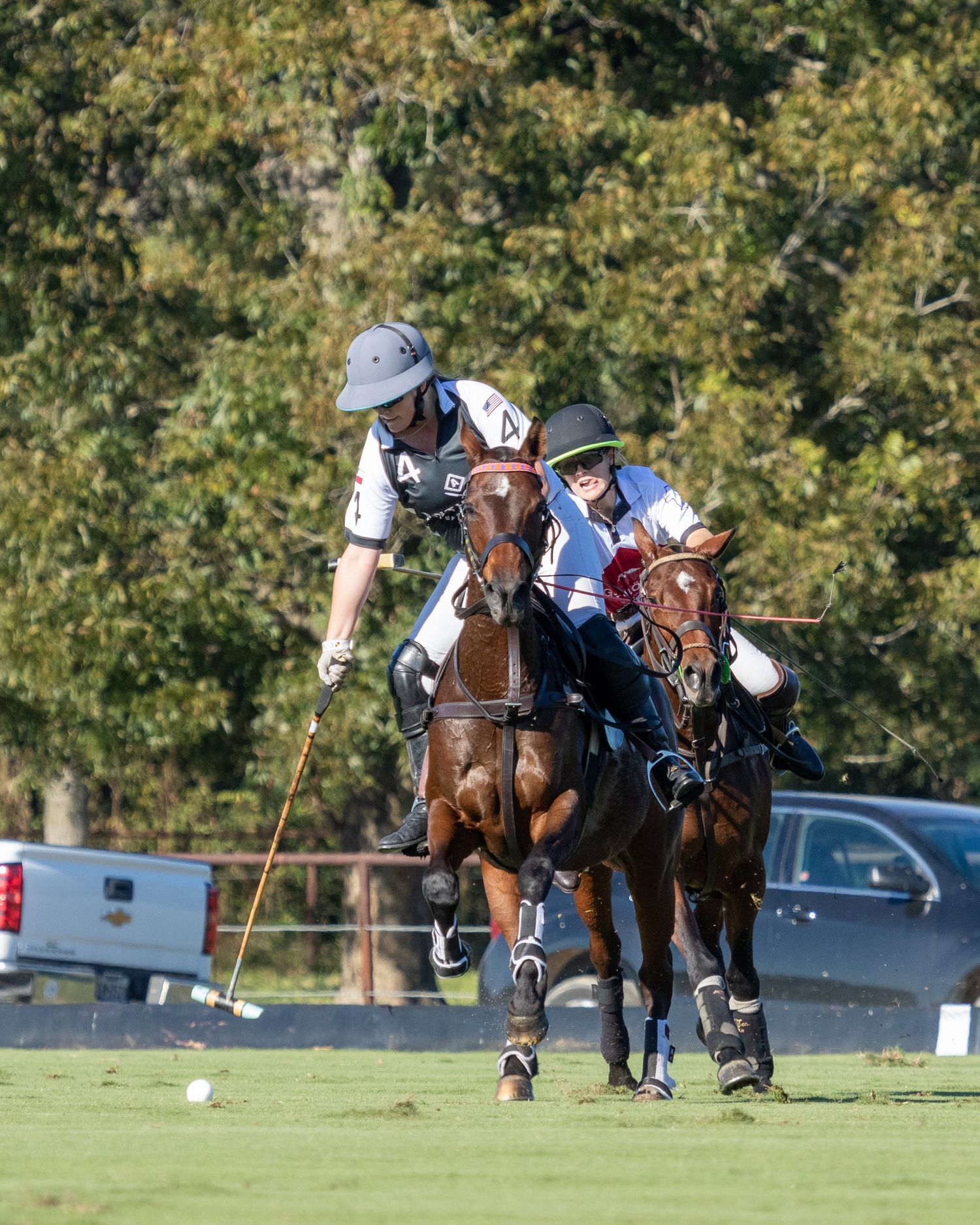 Polo