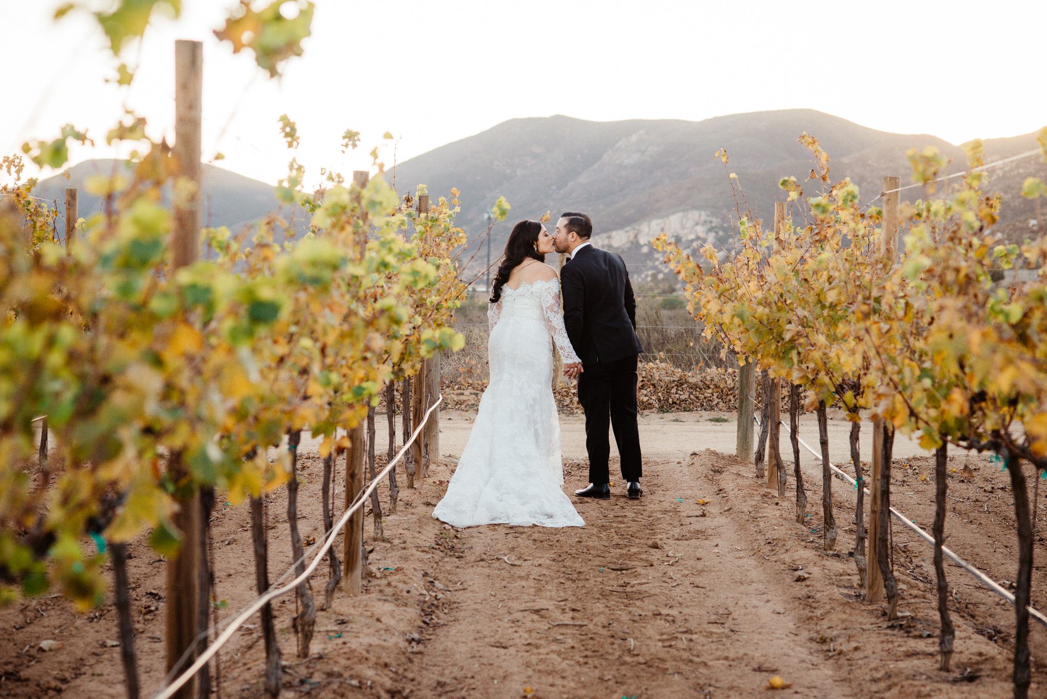 Romantic vineyard wedding photoshoot with golden autumn vines and mountains in the background.