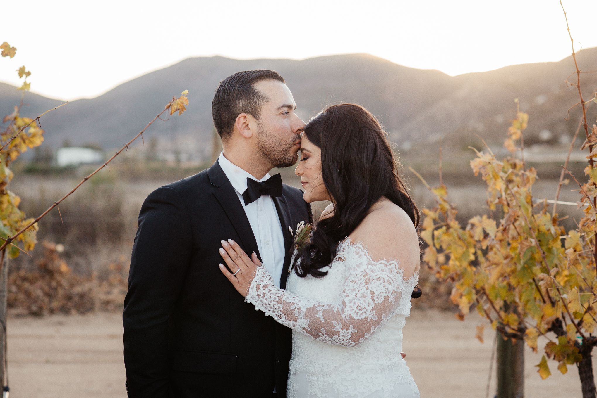 Elegant couple shares intimate moment in vineyard during sunset.