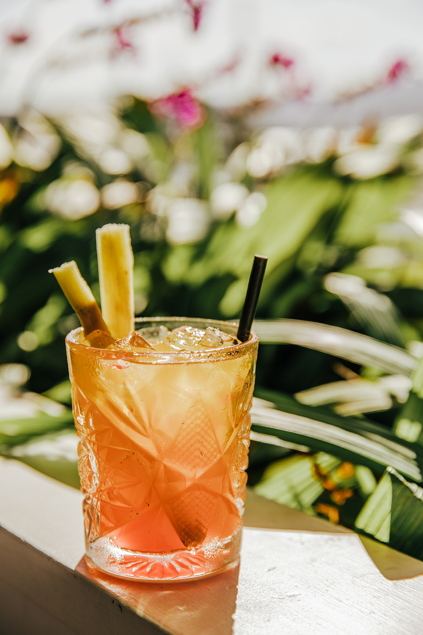 commercial food beverage cocktails photographer images Airlie Beach Mackay Whitsundays North Queensland