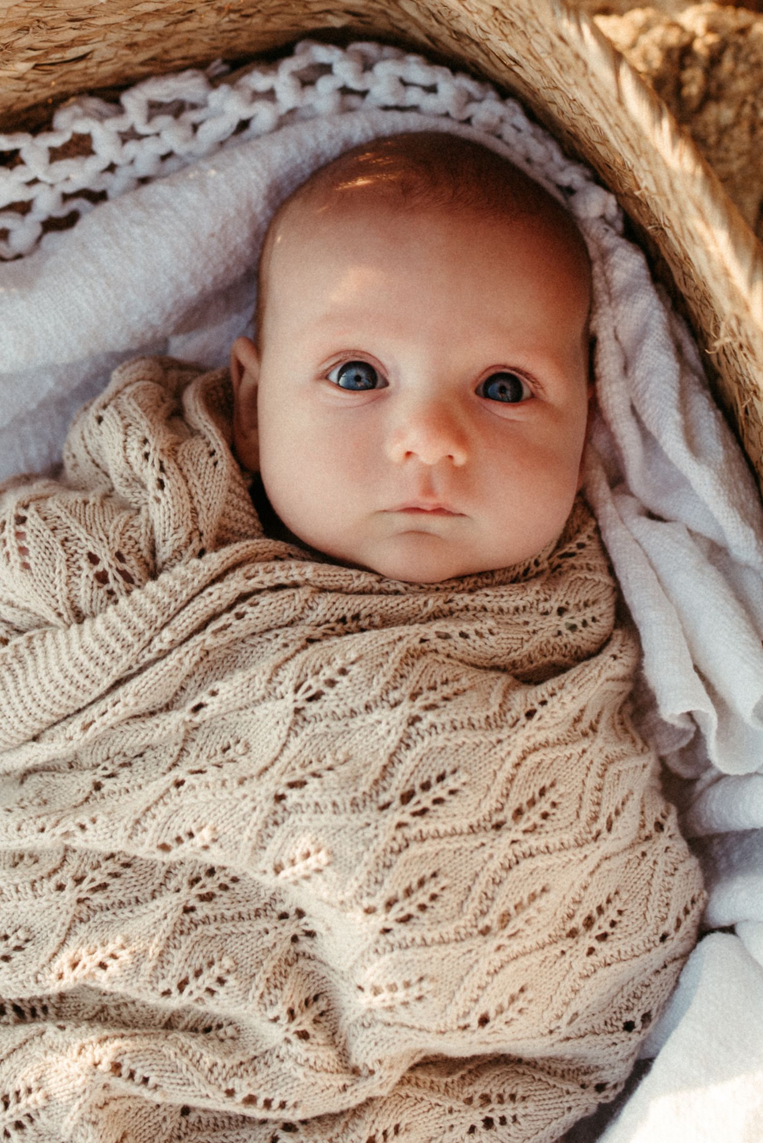 Newborn and Family Photoshoot Bellarine Peninsula