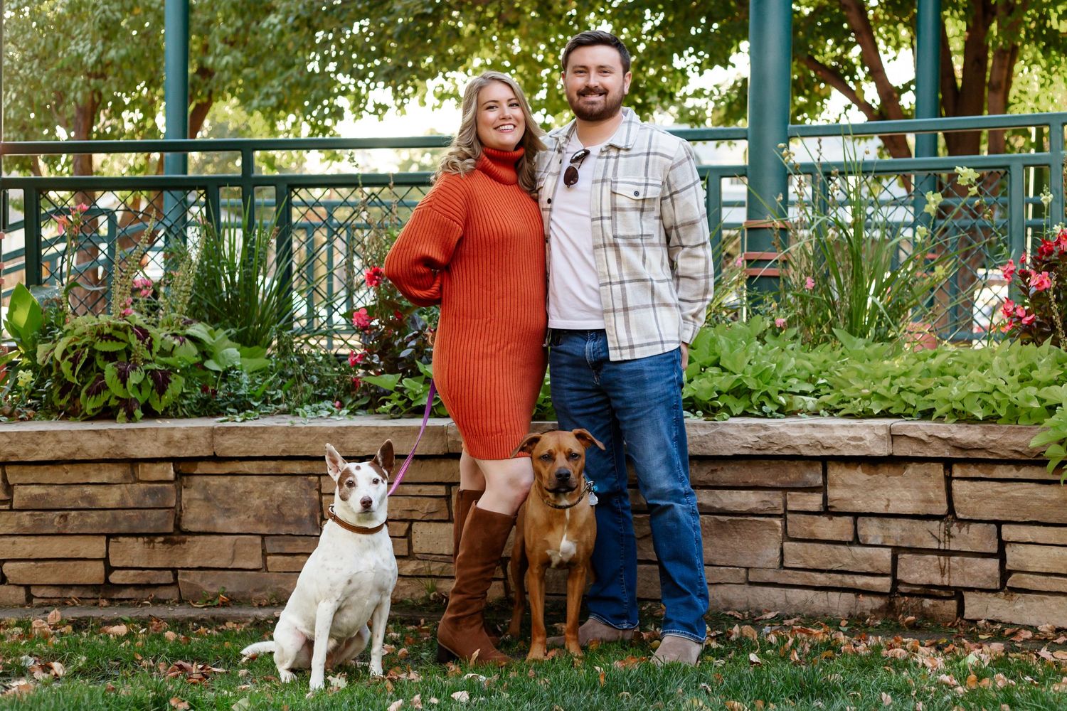 Denver family photographer, Denver pet photographer, Denver pet portrait photographer