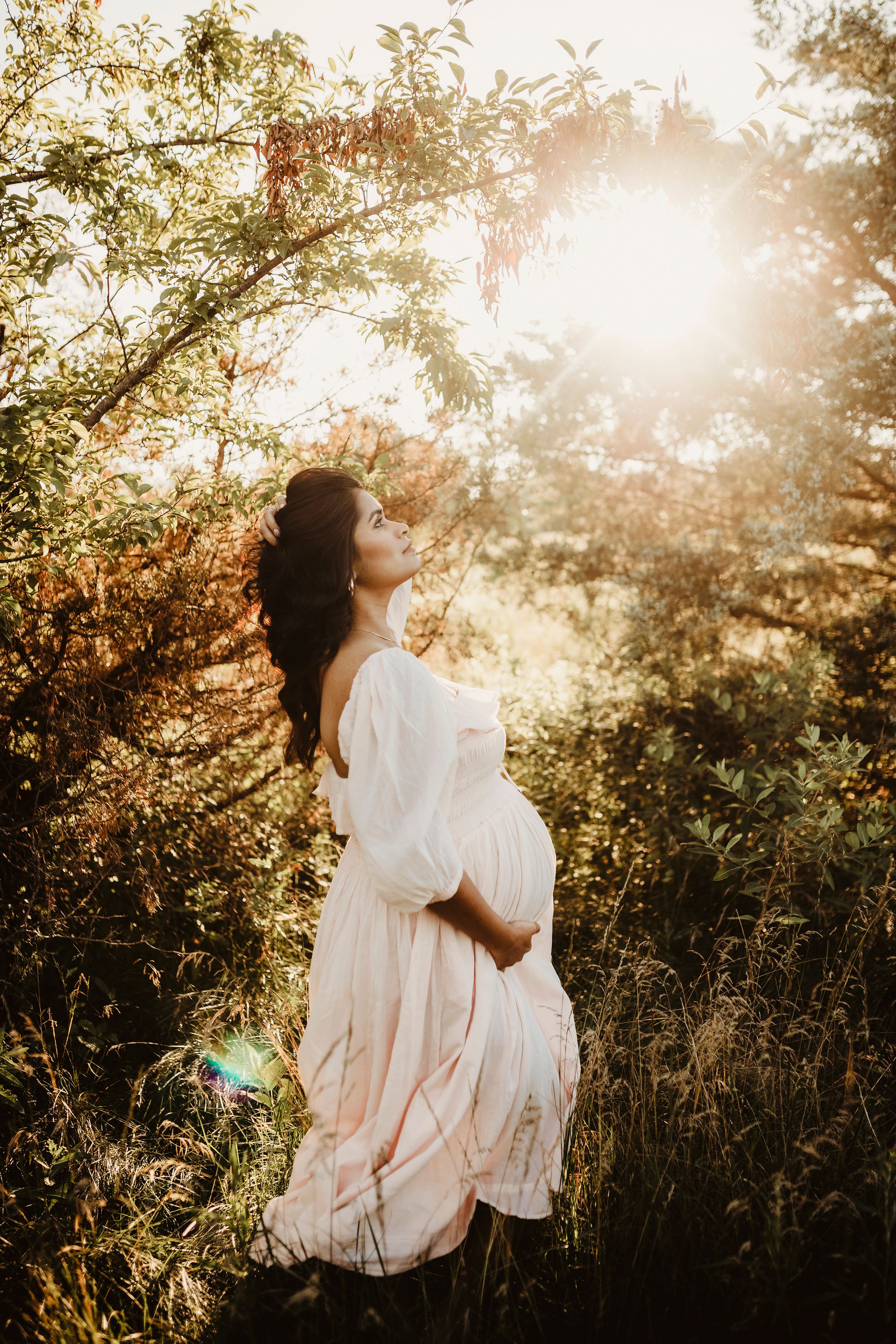 Ethereal sunlit scene through tree branches creating magical golden bokeh effect.