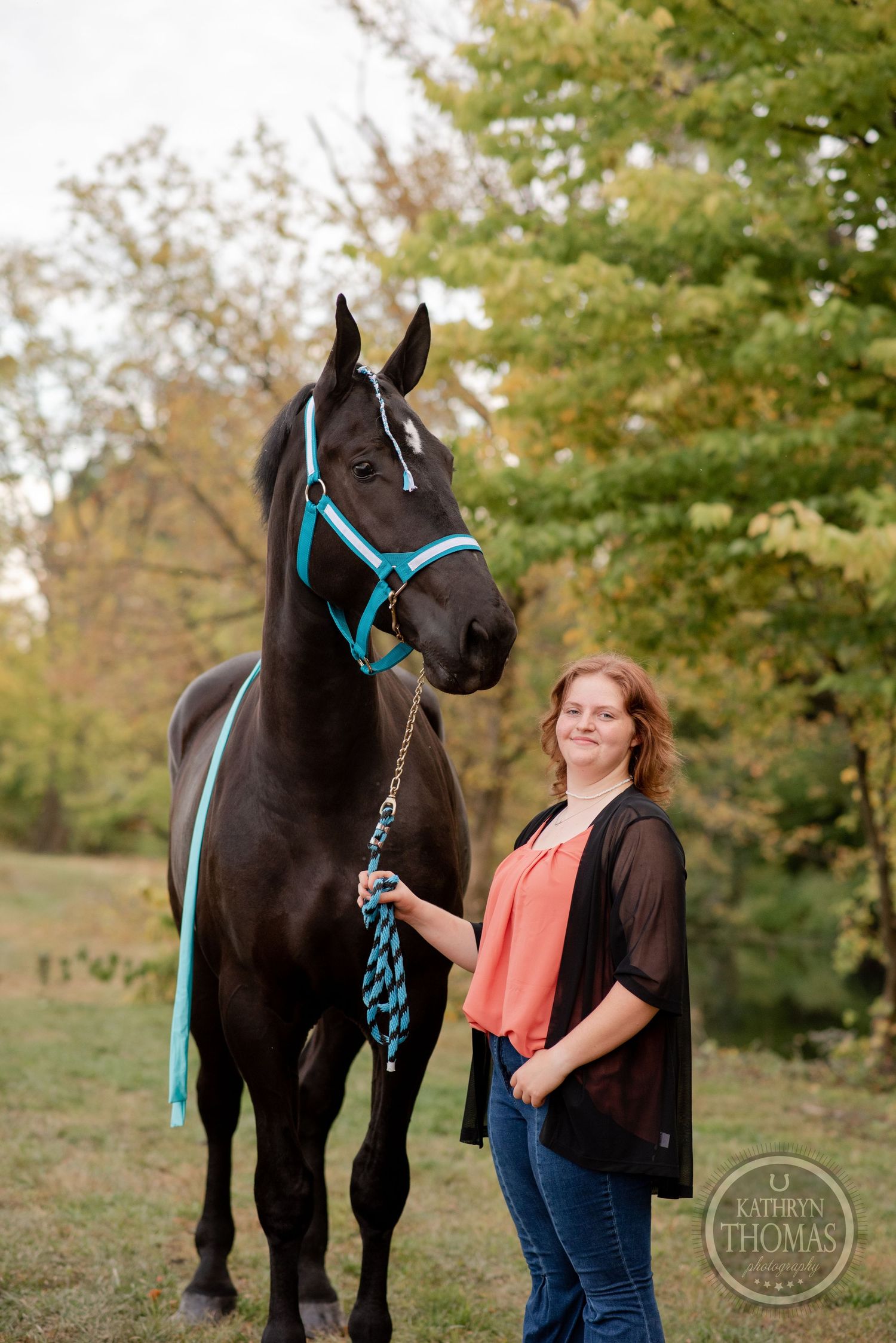 A majestic black horse wearing a teal blue halter stands amidst fall foliage.