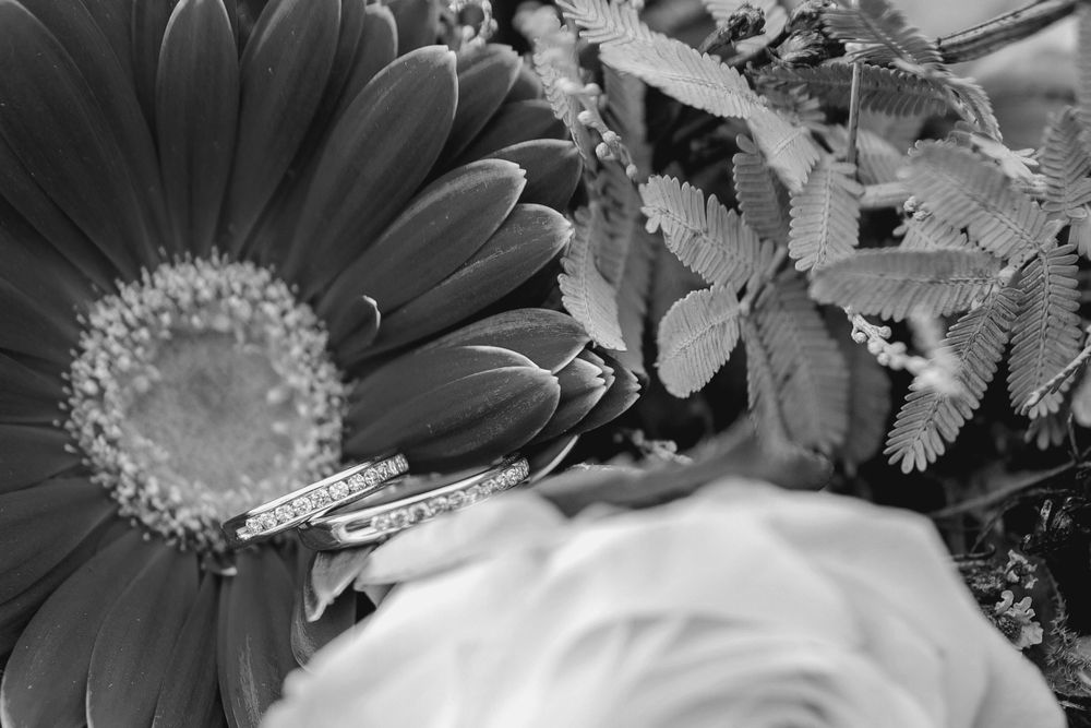 bridal bouquet of australian natives and gerberas with wedding rings nestled in petals