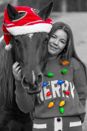 Black horse wearing red Santa hat poses with festive Christmas sweater adorned with colorful holiday lights.