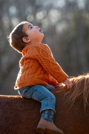 A child in an orange sweater sits on horseback and looks up at the sky during golden hour.