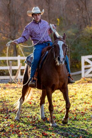 Equestrian rides a brown horse wearing western attire including cowboy hat, purple shirt and blue jeans on an autumn day.