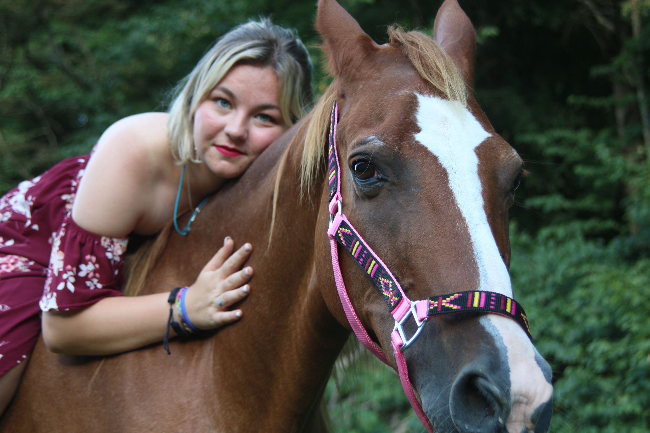 A brown and white horse wearing a pink harness stands outdoors while being hugged in a natural setting.
