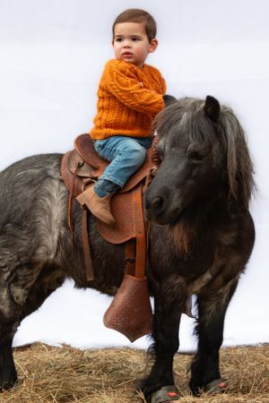 Small child in orange sweater riding a dark-colored pony with western saddle.