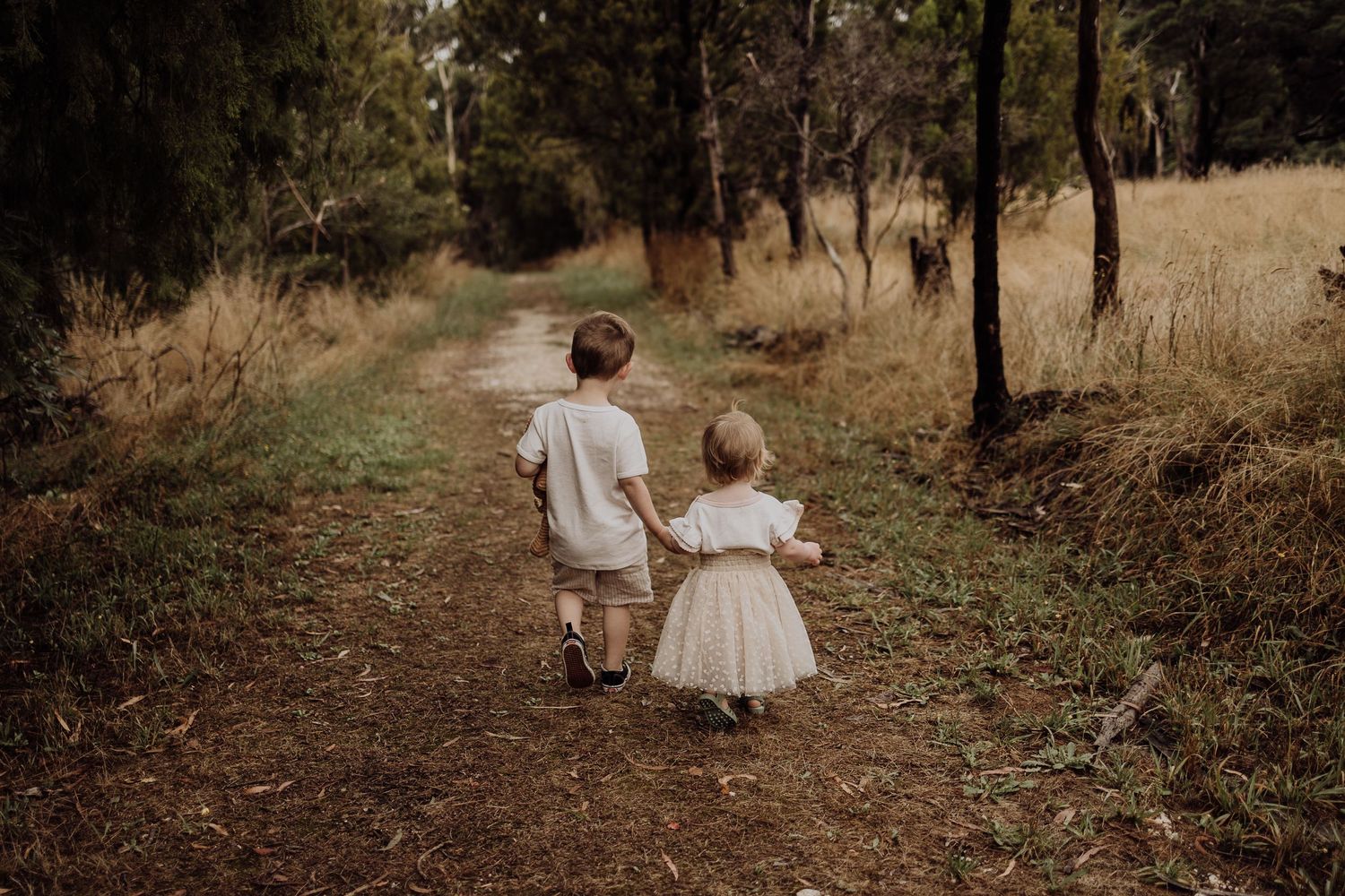 Two small children walk hand in hand down a wooded forest path.