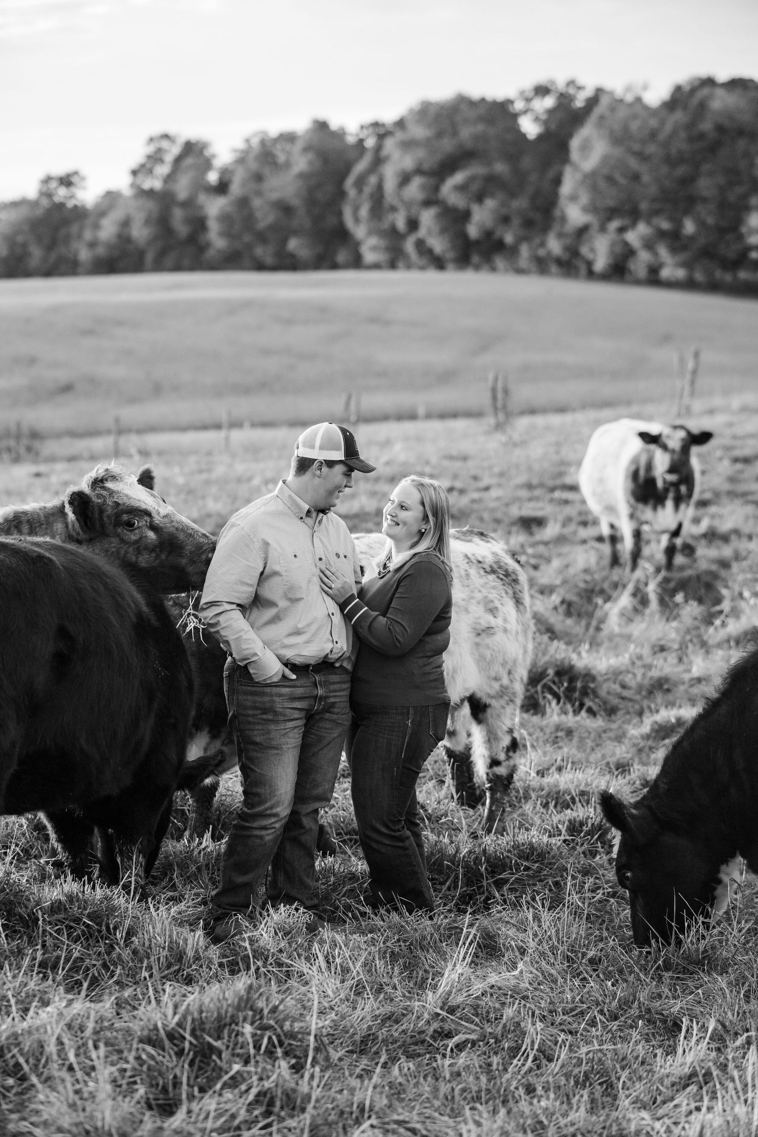 Black and white photo of a couple sharing a romantic moment surrounded by grazing cattle in a lush farm pasture.