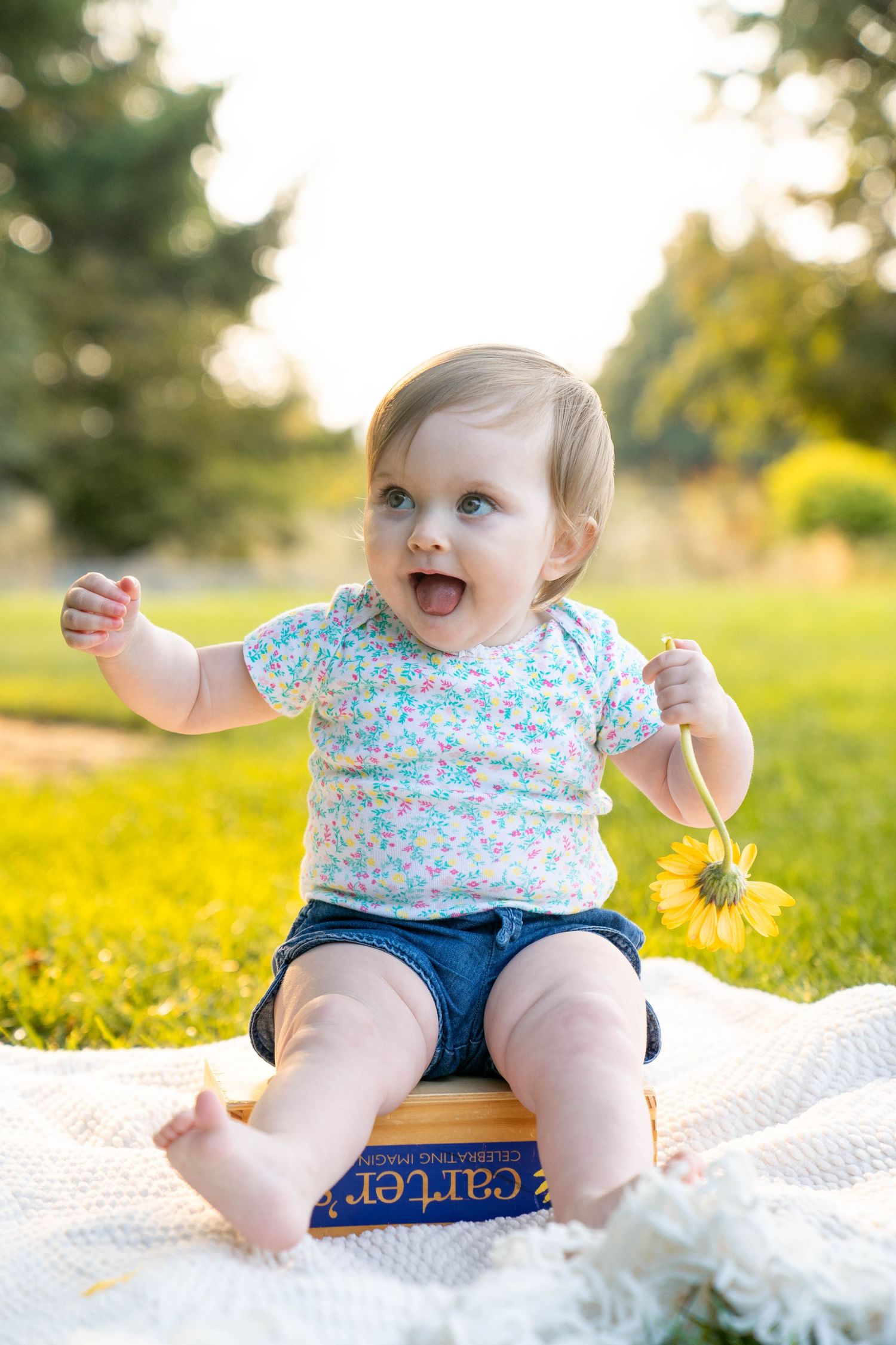 Alex Davis Photography: Cute Girls Baby Portraits On Picnic Blanket In Beaverton, Oregon