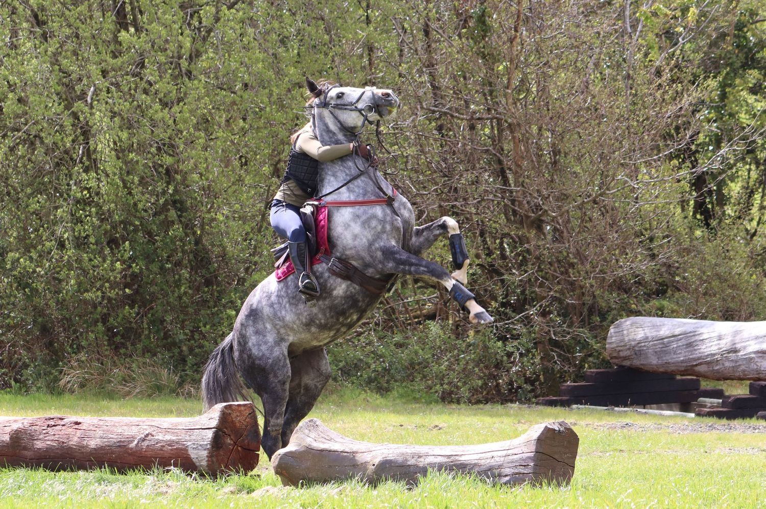 Naught pony