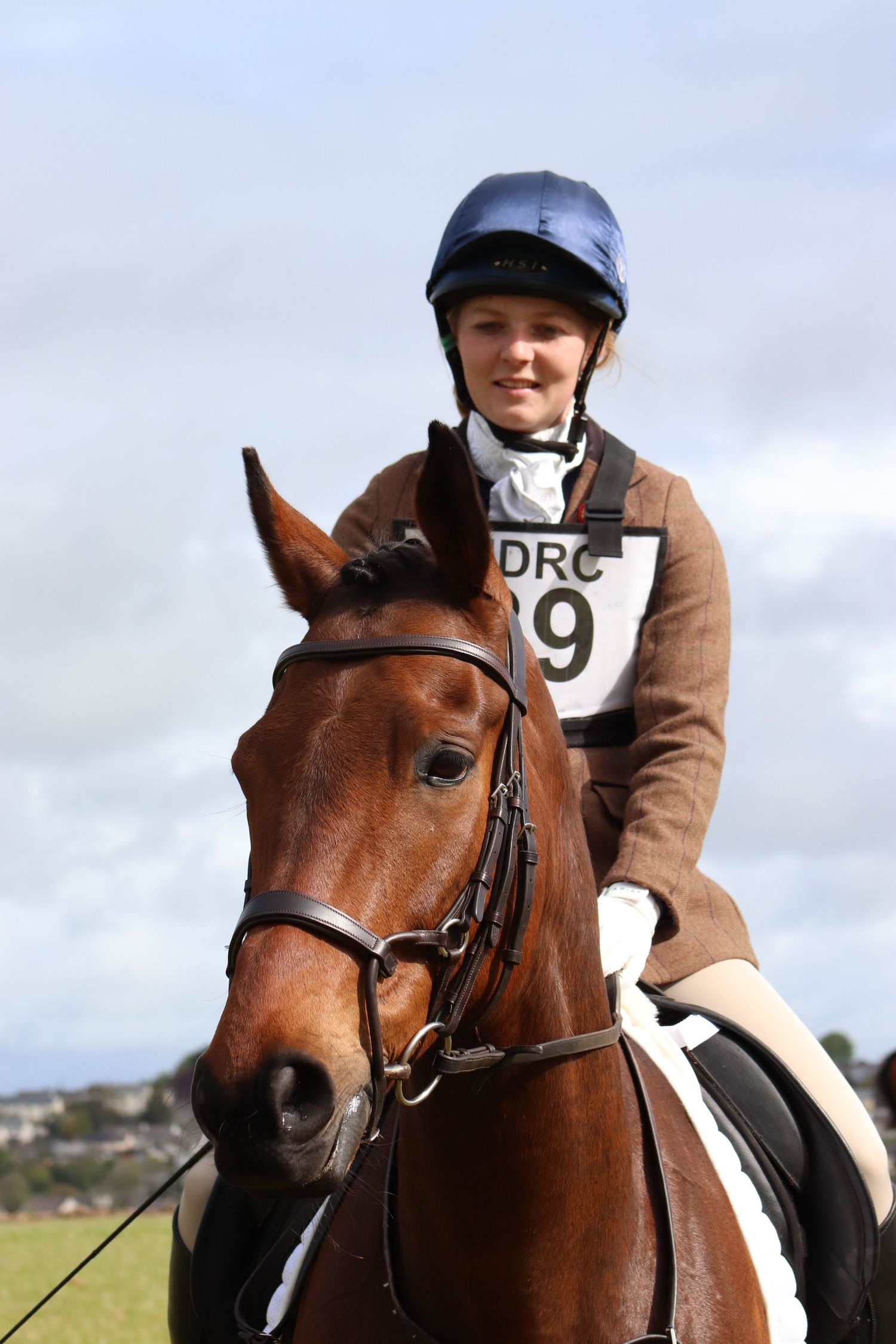 Dressage awaits