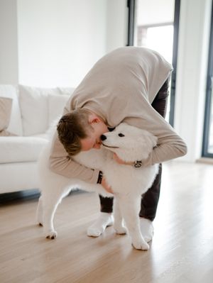 A casual moment at home as someone bends down to hug their white fluffy dog.