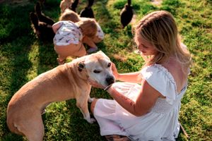 Woman in white dress sitting in grass loving on her senior dog in the sunset.