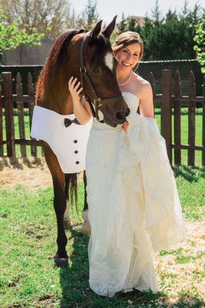 Horse wedding portrait