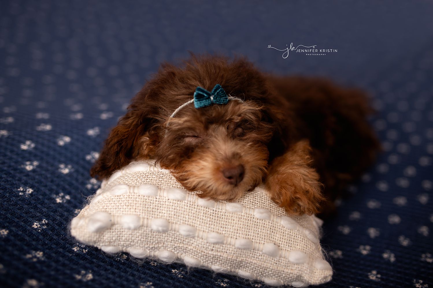 Chillicothe Ohio Newborn Photography